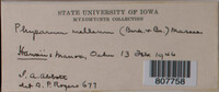 Image Associated With the Occurence